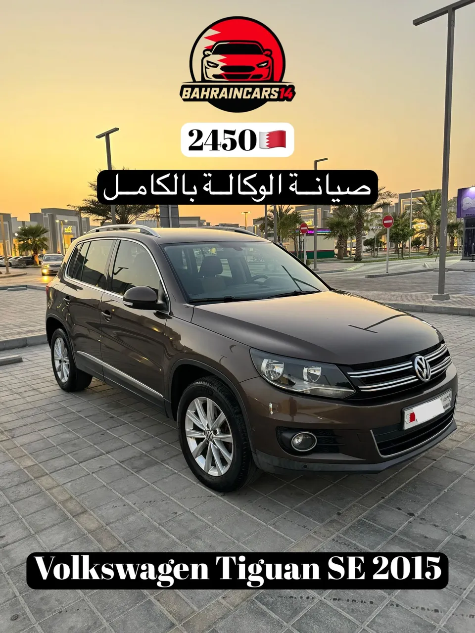 2015 Volkswagen Tiguan SE