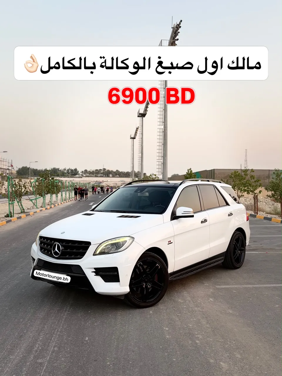 2013 Mercedes Benz M-Class