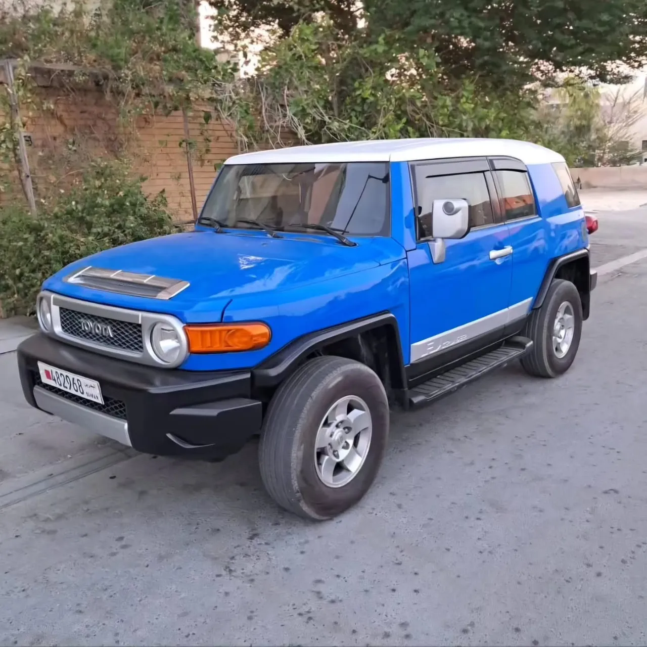 2008 Toyota FJ