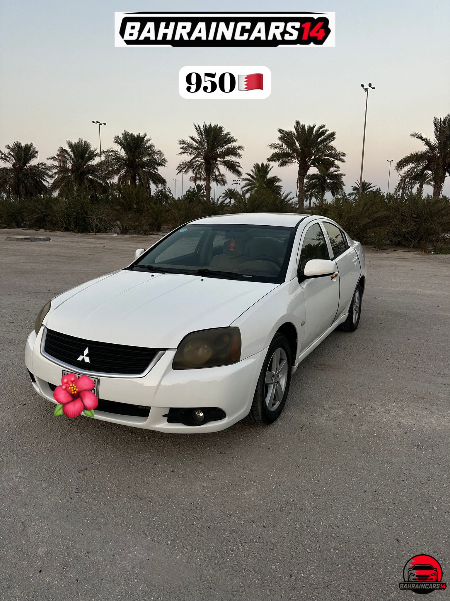 2010 Mitsubishi Galant