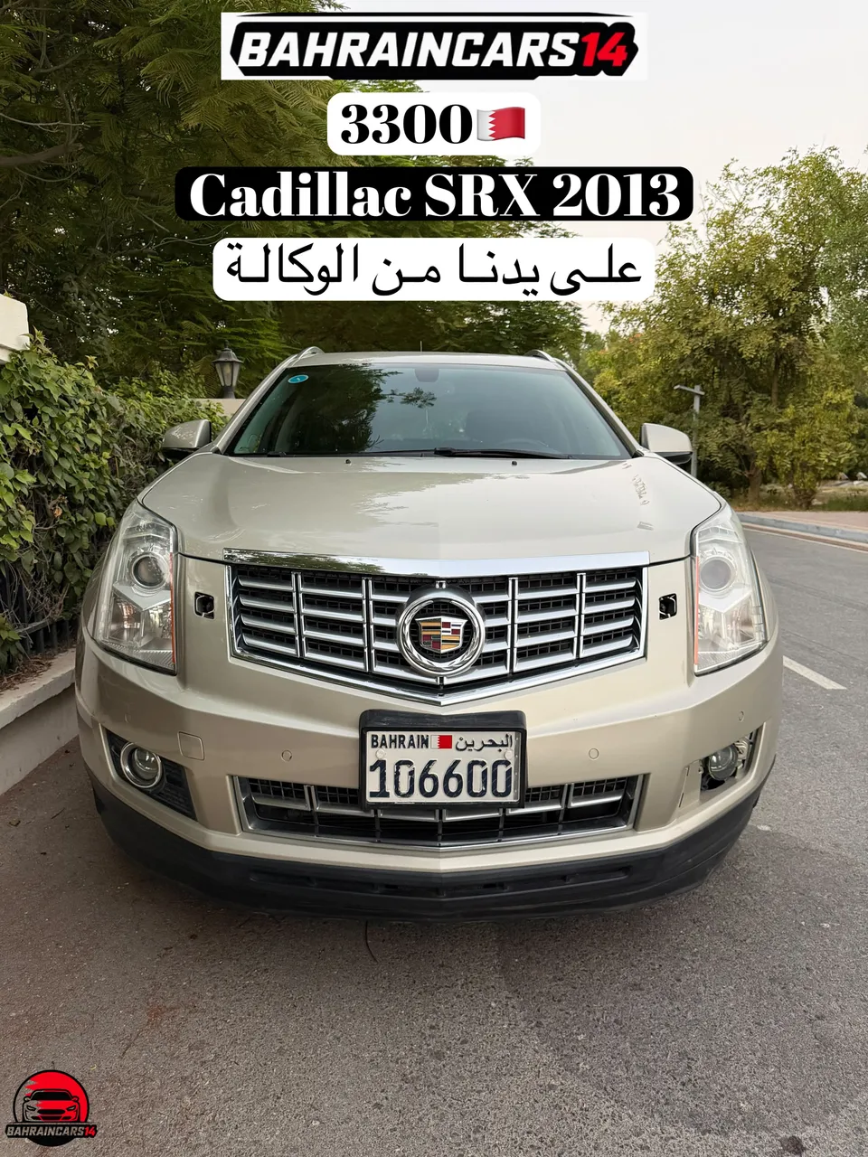 2013 Cadillac SRX Luxury
