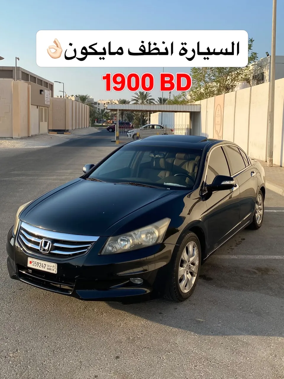 2010 Honda Accord