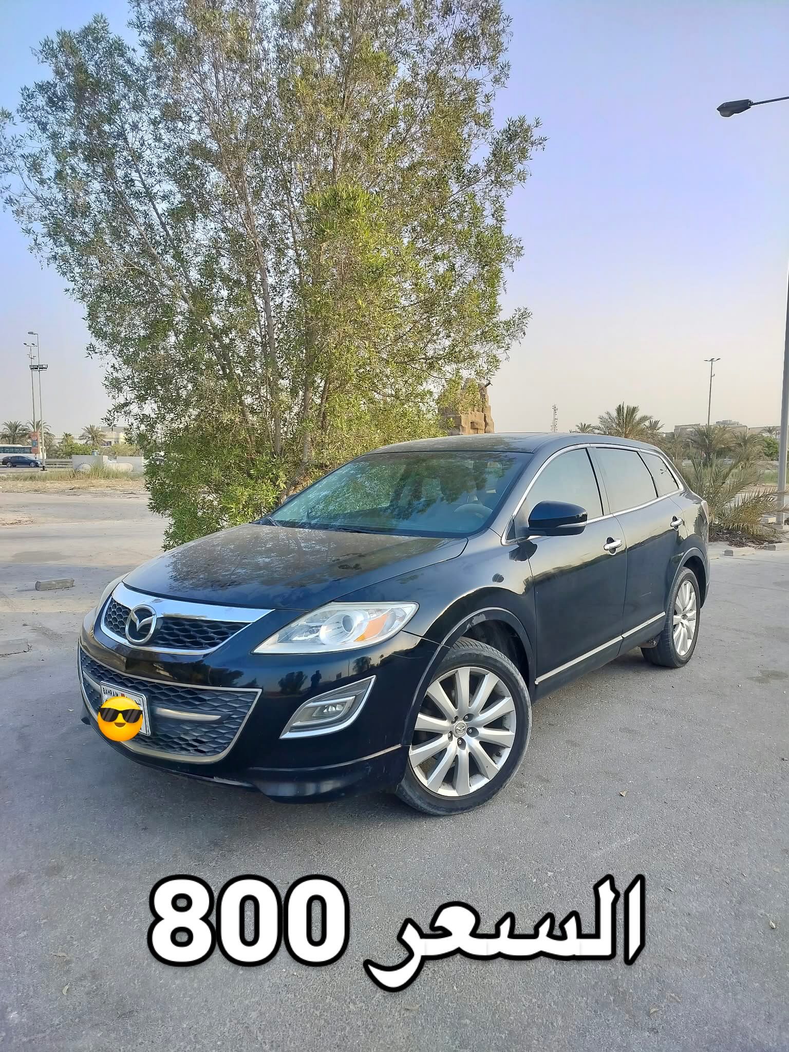 2010 Mazda CX-9