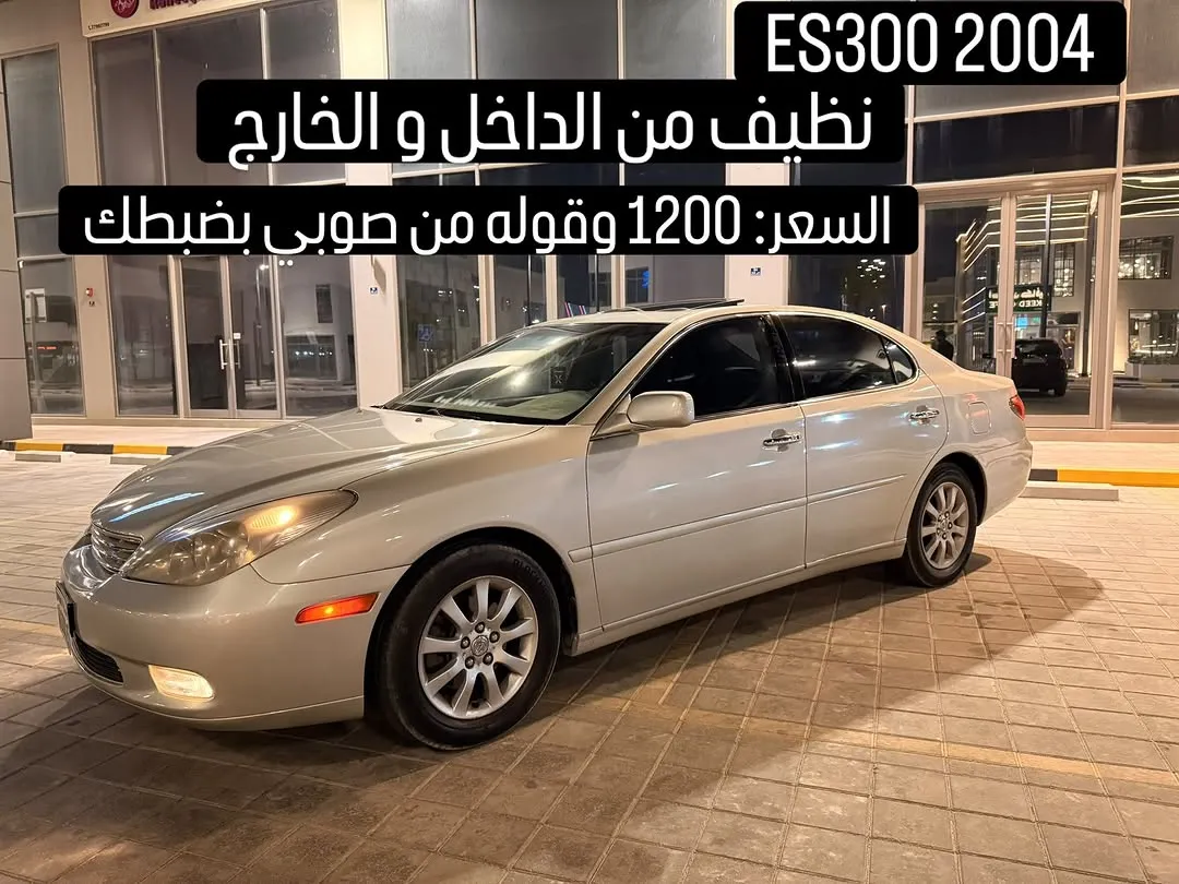 2004 Lexus ES 300