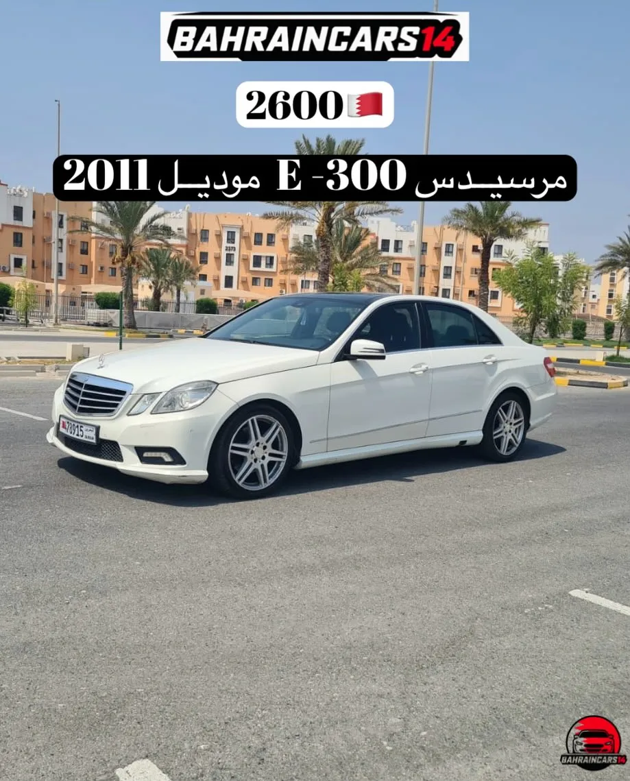 2011 Mercedes Benz E-Class E 300