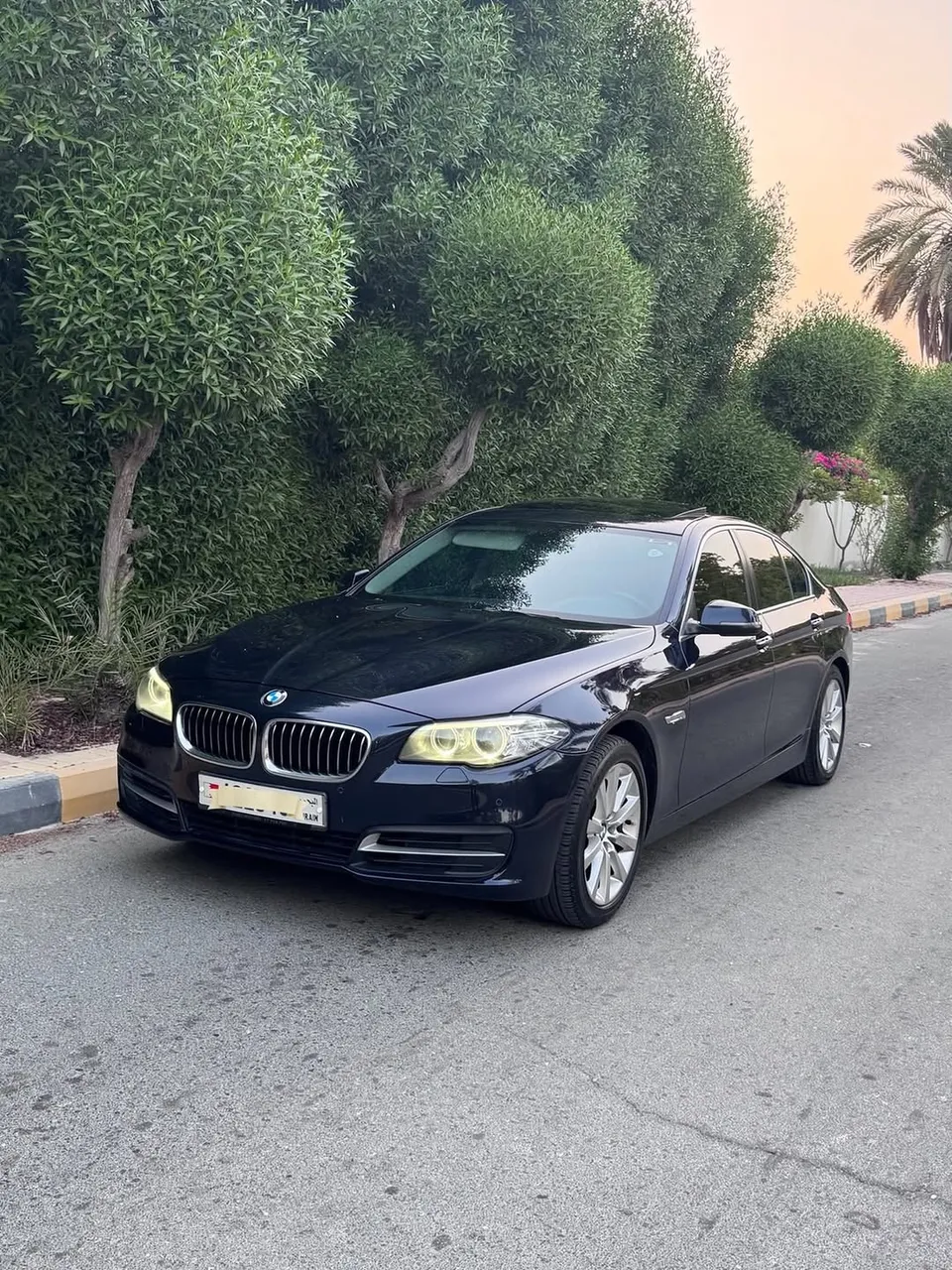 2014 BMW 5 Series 528