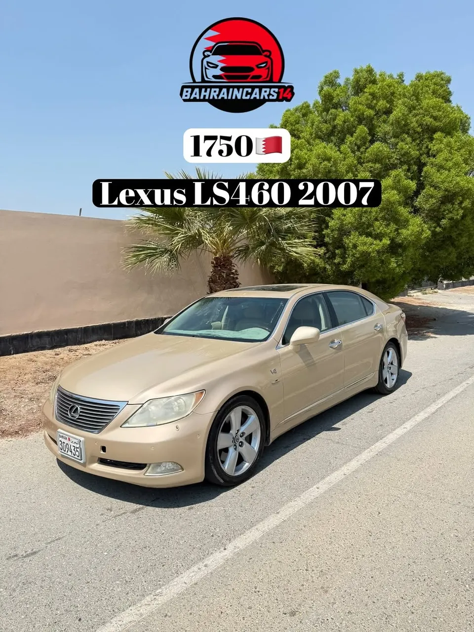 2007 Lexus LS 460