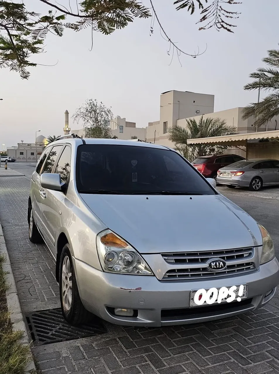 2010 Kia Carnival