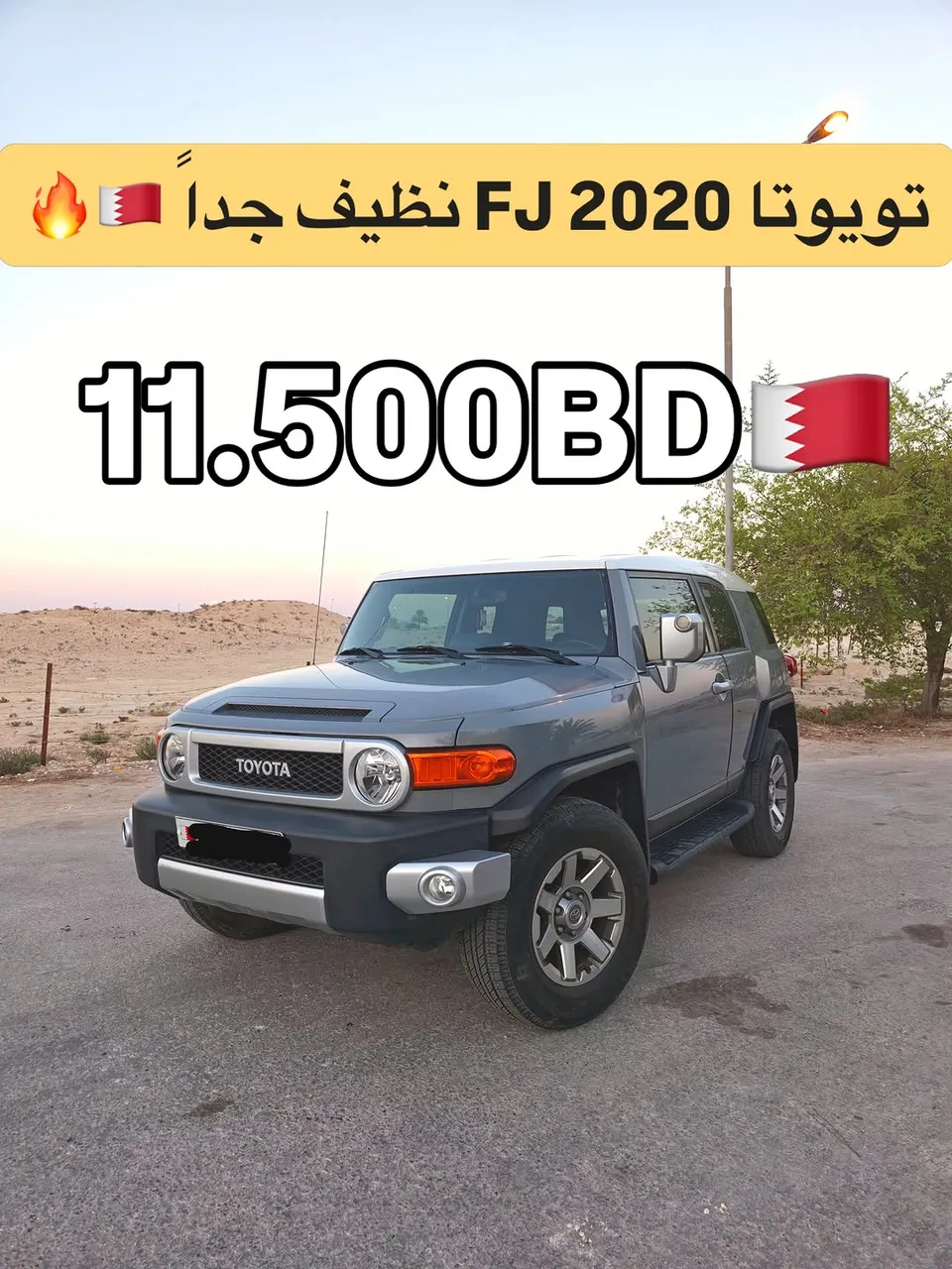 2020 Toyota FJ