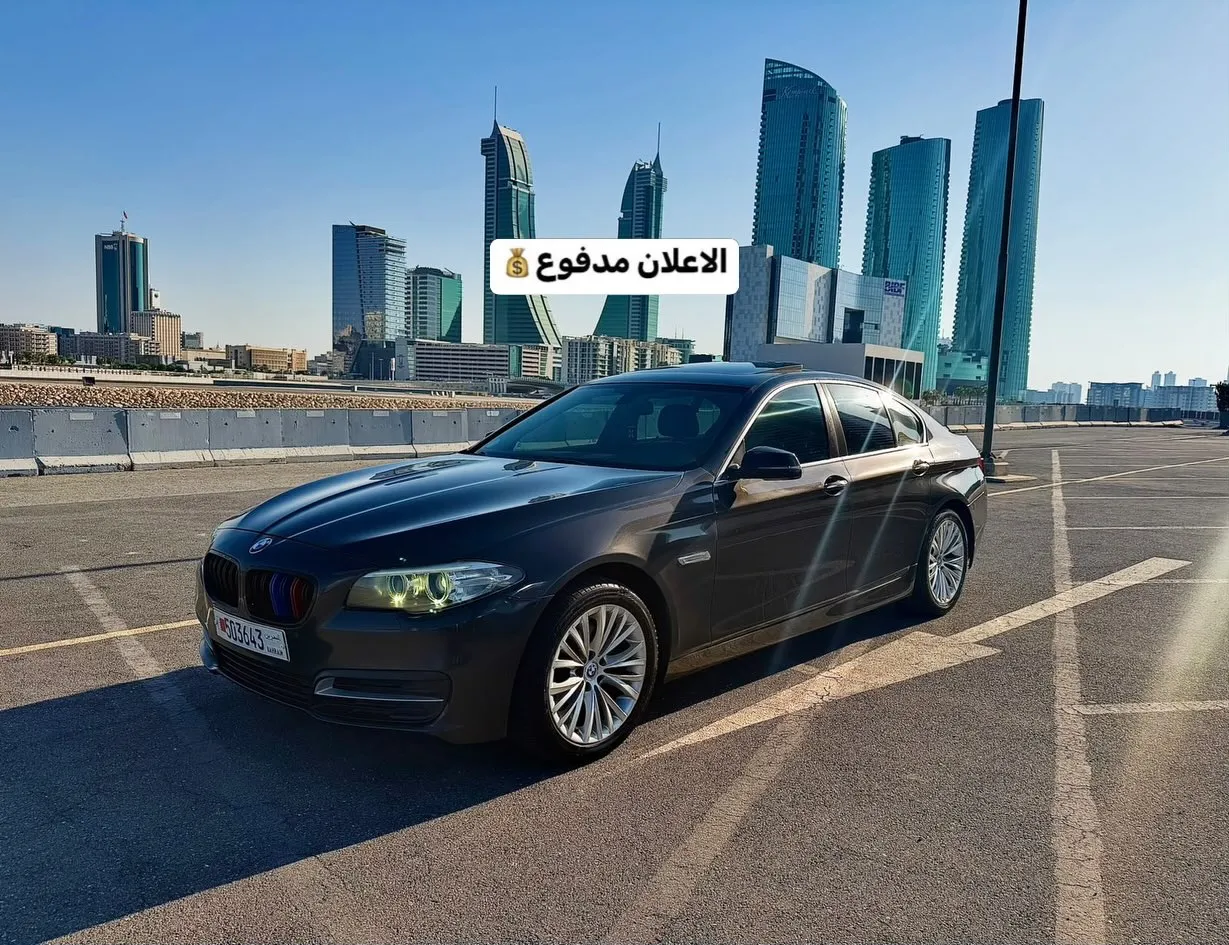 2015 BMW 5 Series 528