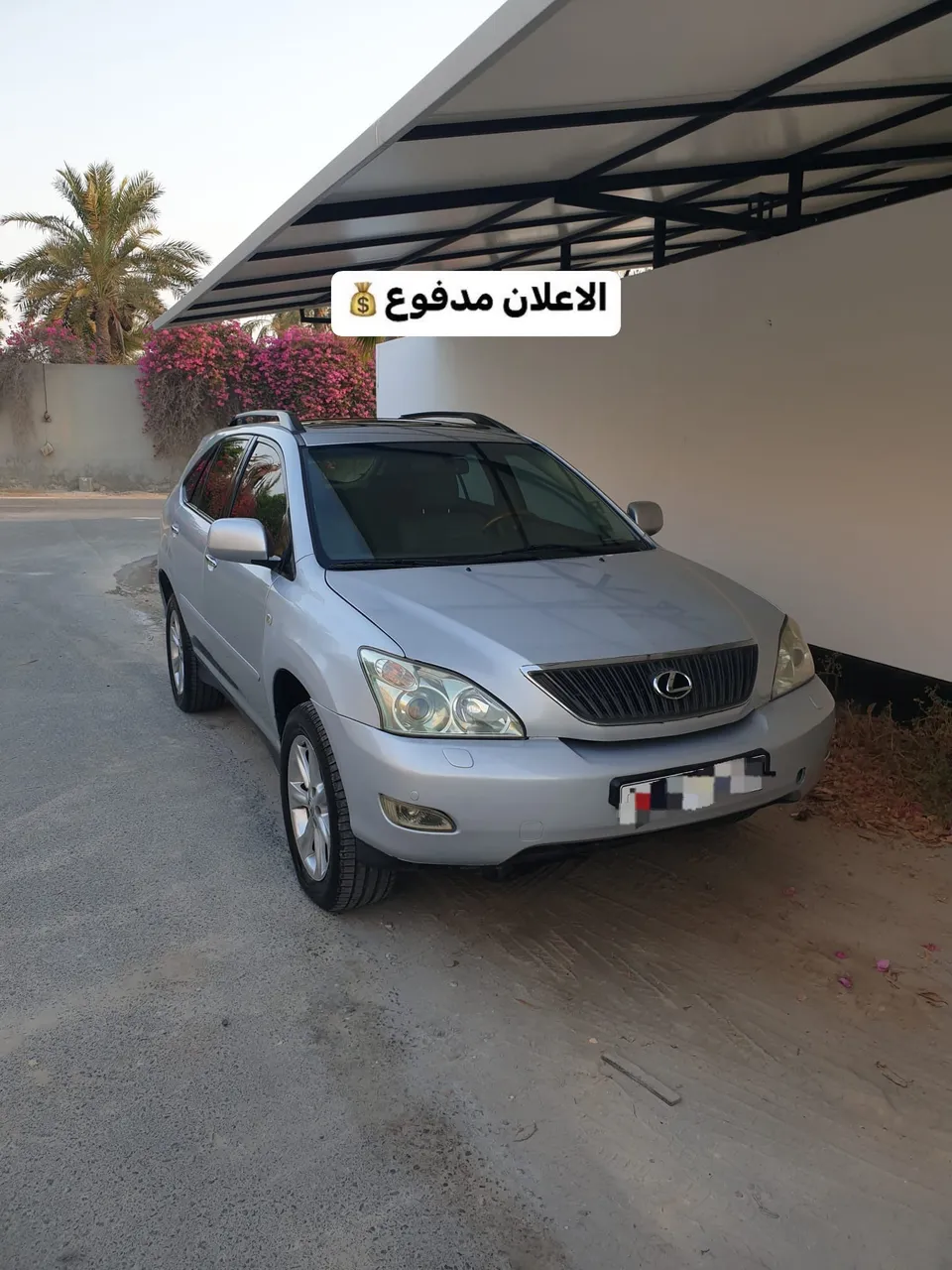 2008 Lexus RX