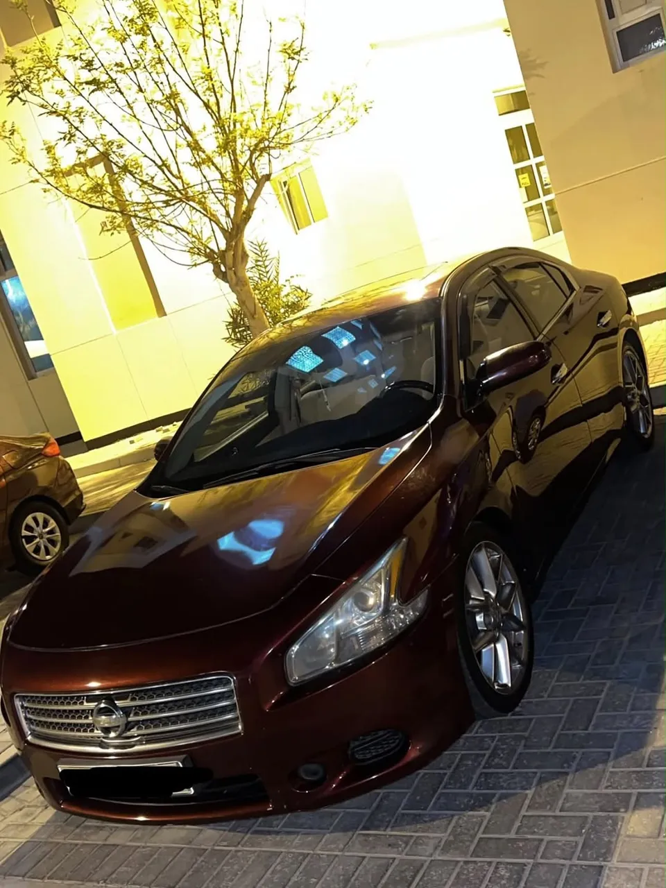 2010 Nissan Maxima