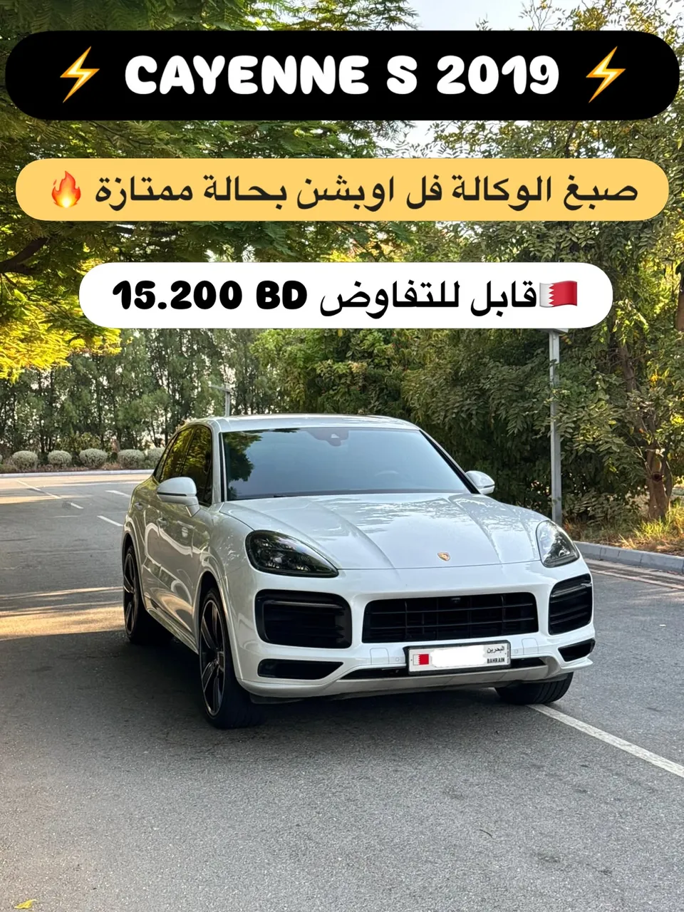 2019 Porsche Cayenne S