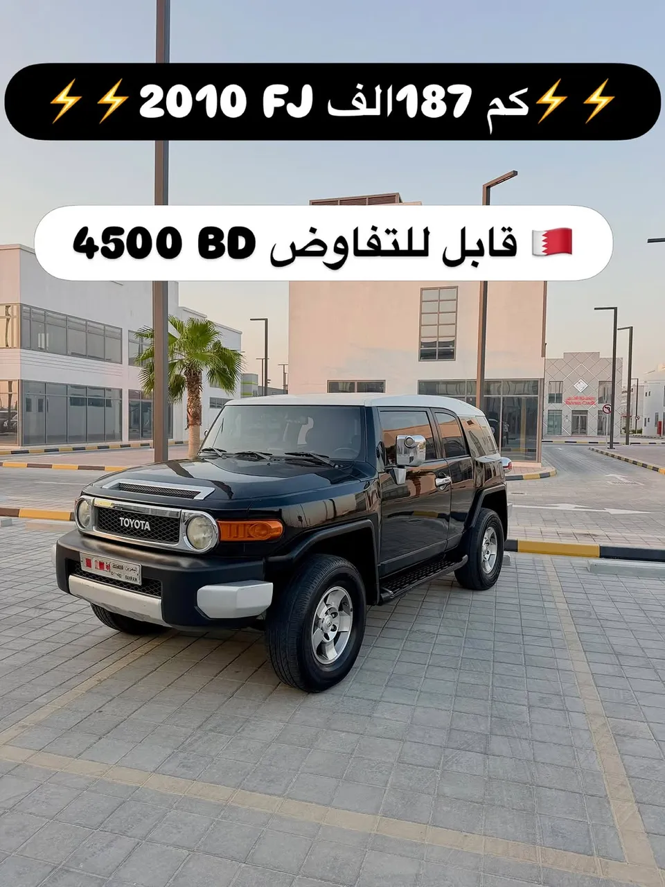 2010 Toyota FJ
