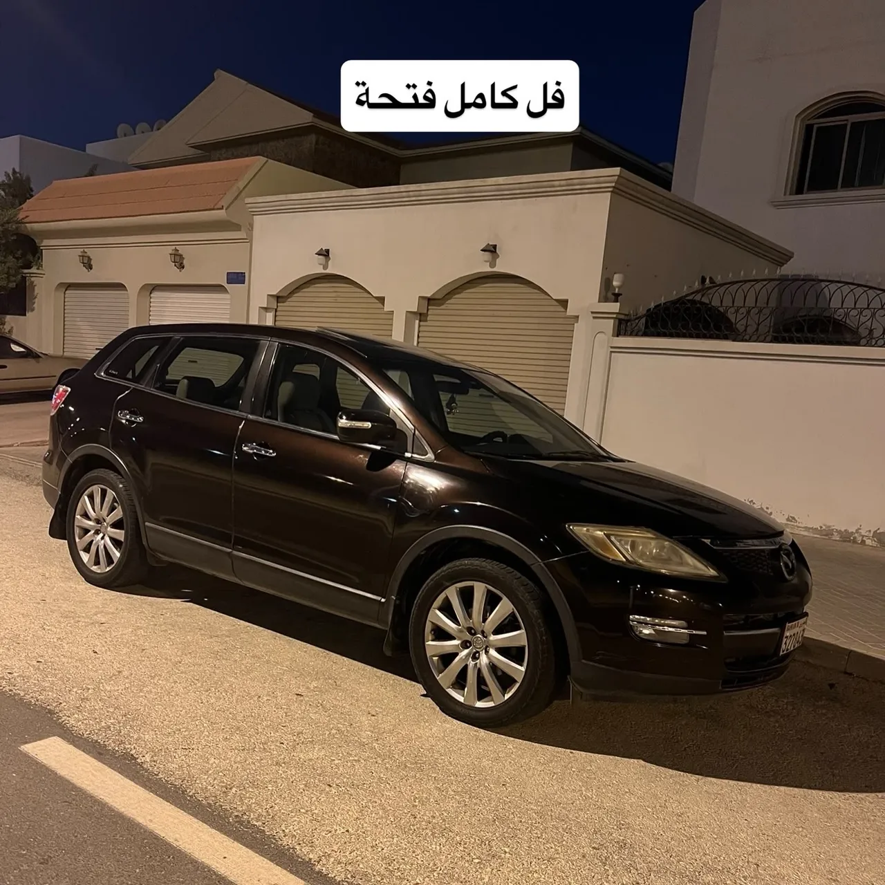 2009 Mazda CX-9