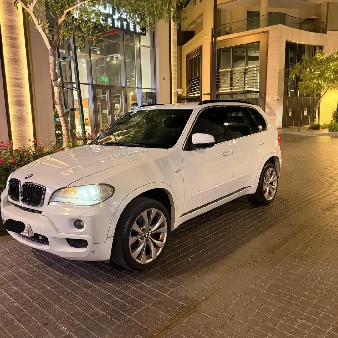 2010 BMW X5 Series Standard
