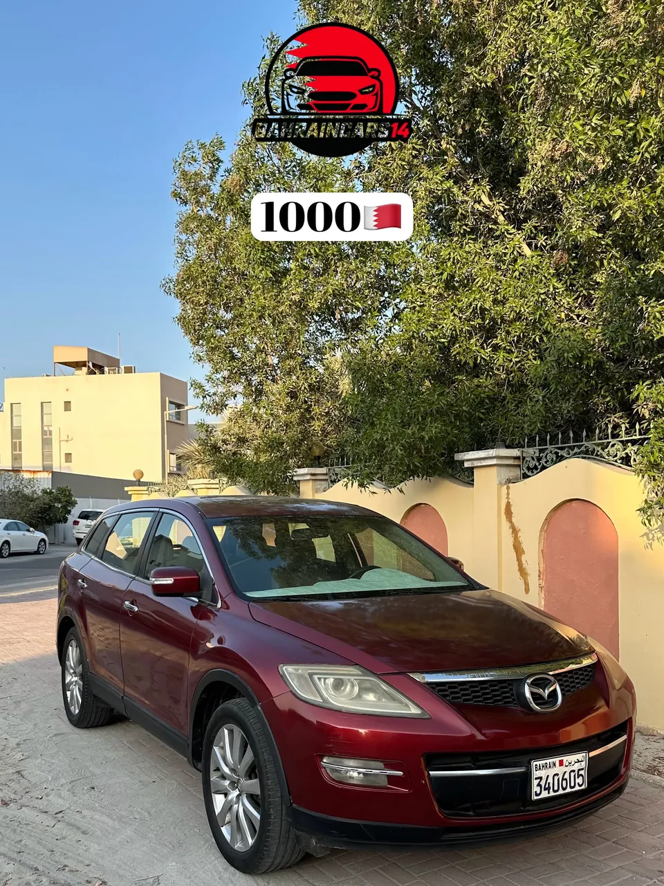 2009 Mazda CX-9