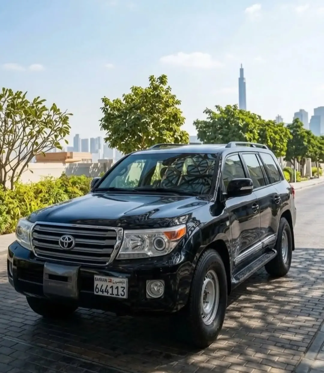2010 Toyota Land Cruiser GXR