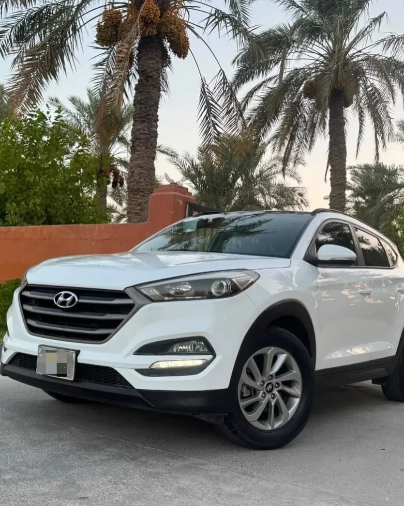 2017 Hyundai Tucson Panorama