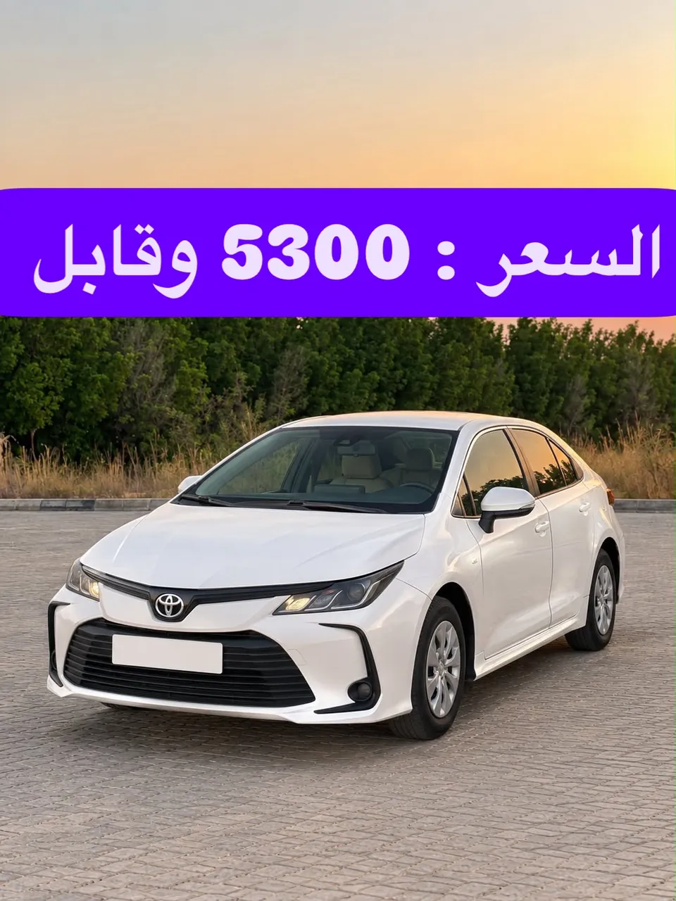 2022 Toyota Corolla XLI
