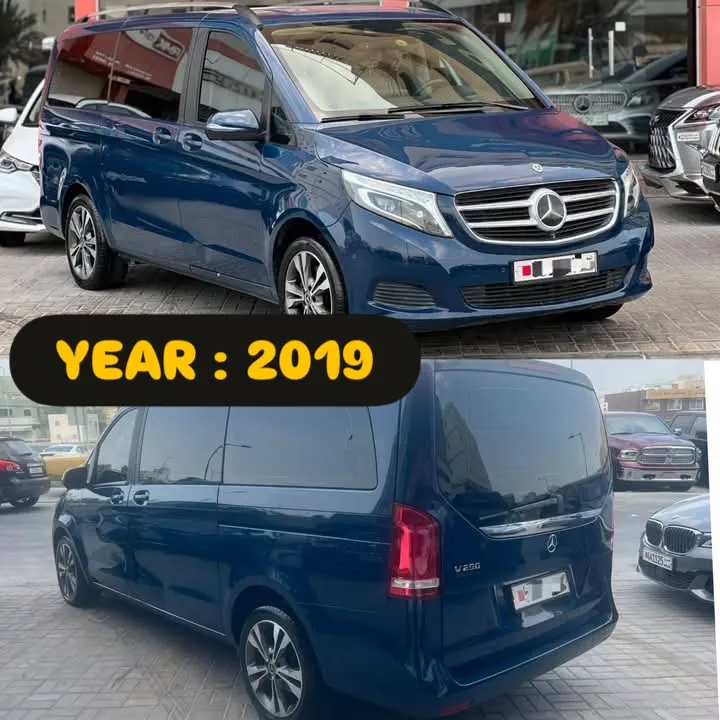 2019 Mercedes Benz V-Class V 250