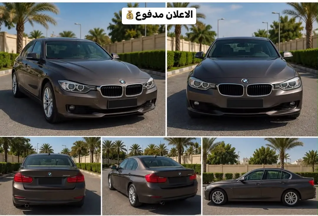 2013 BMW 3 Series 320