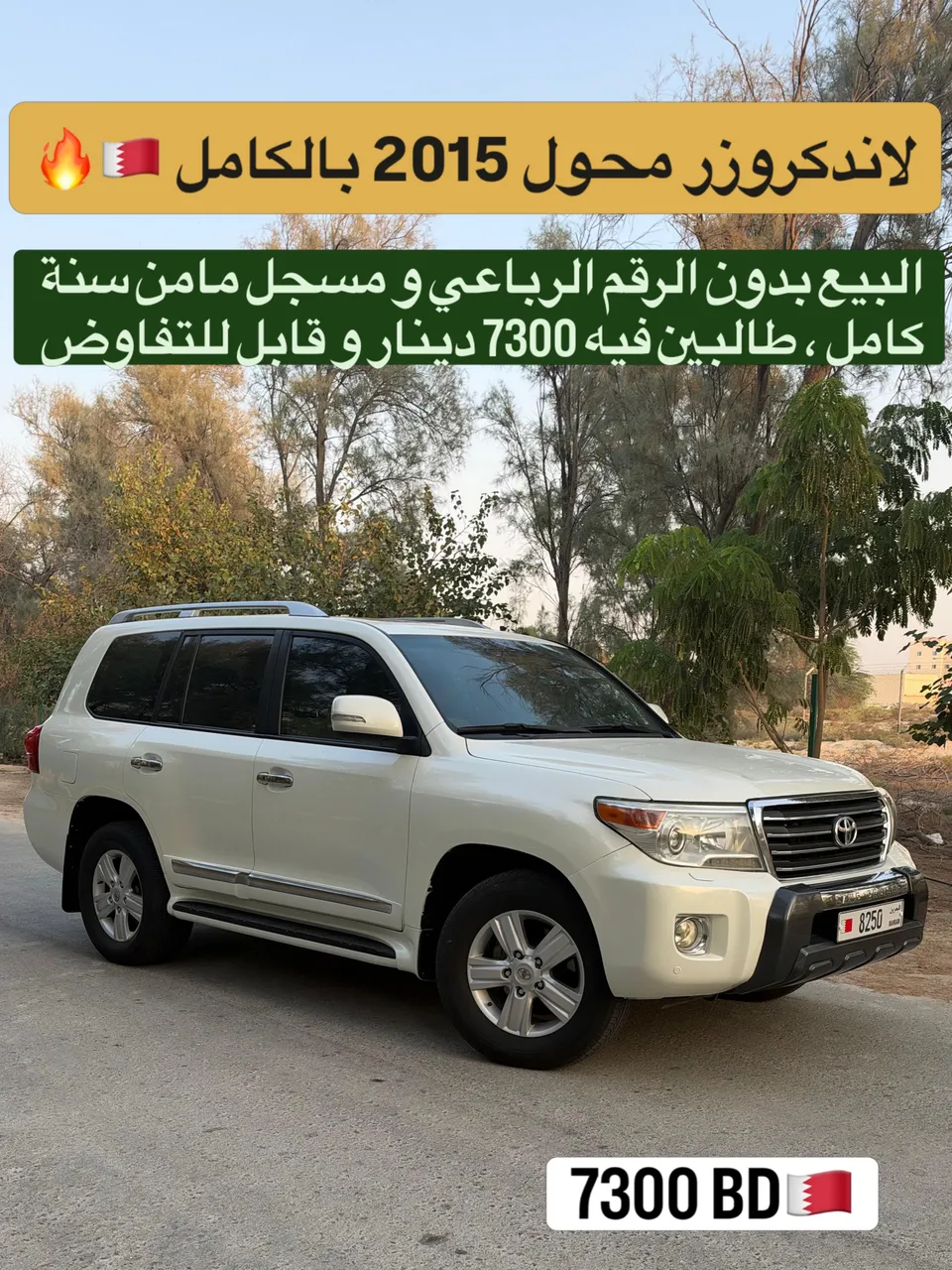 2010 Toyota Land Cruiser