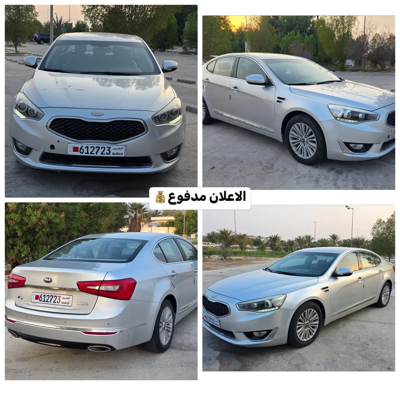 2013 Kia Cadenza