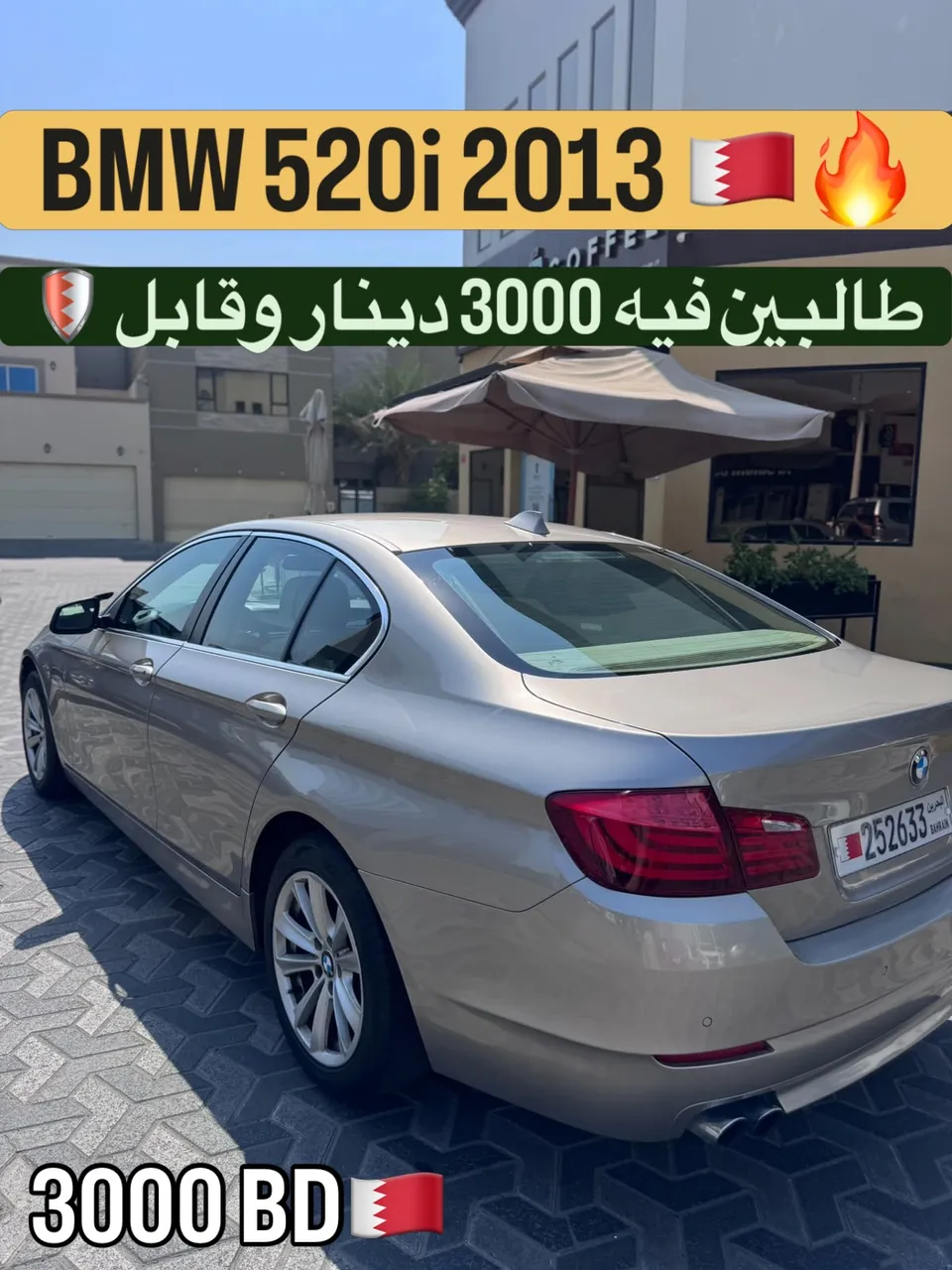2013 BMW 5 Series 520