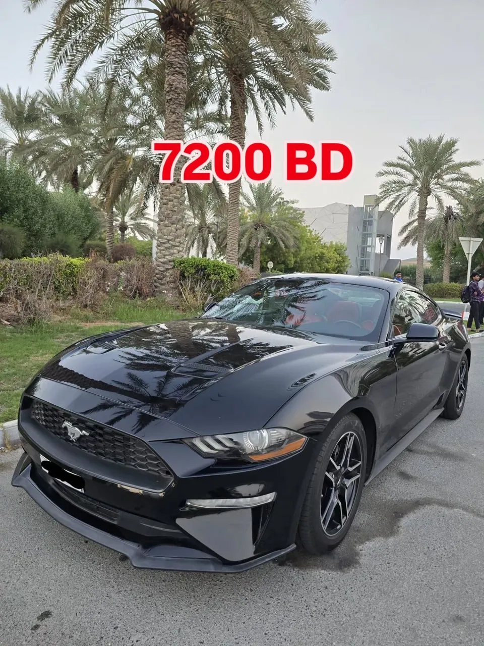 2021 Ford Mustang EcoBoost