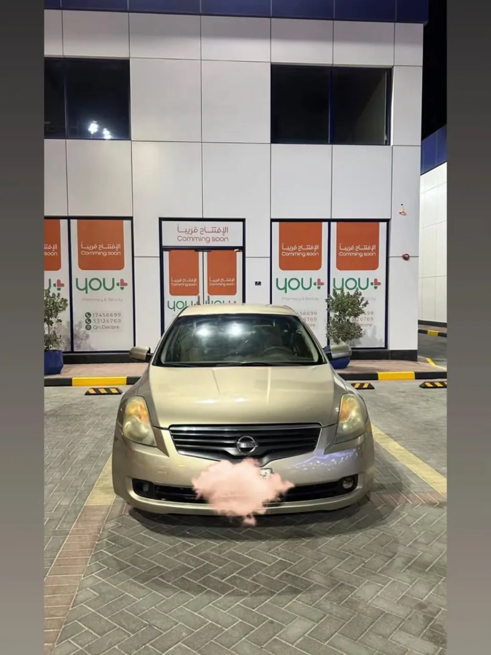 2009 Nissan Altima