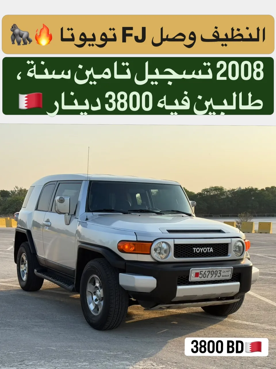 2008 Toyota FJ