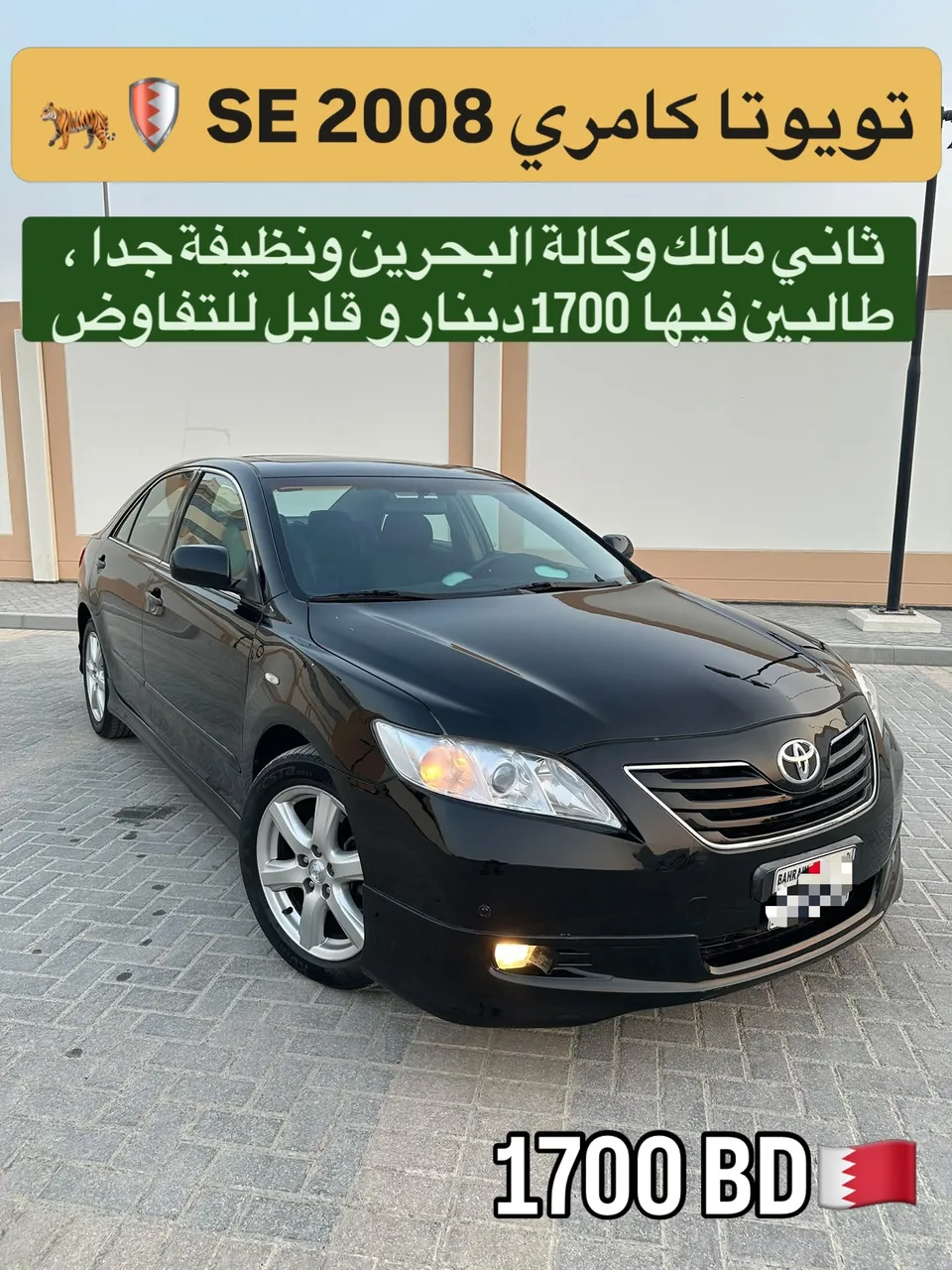 2009 Toyota Camry SE