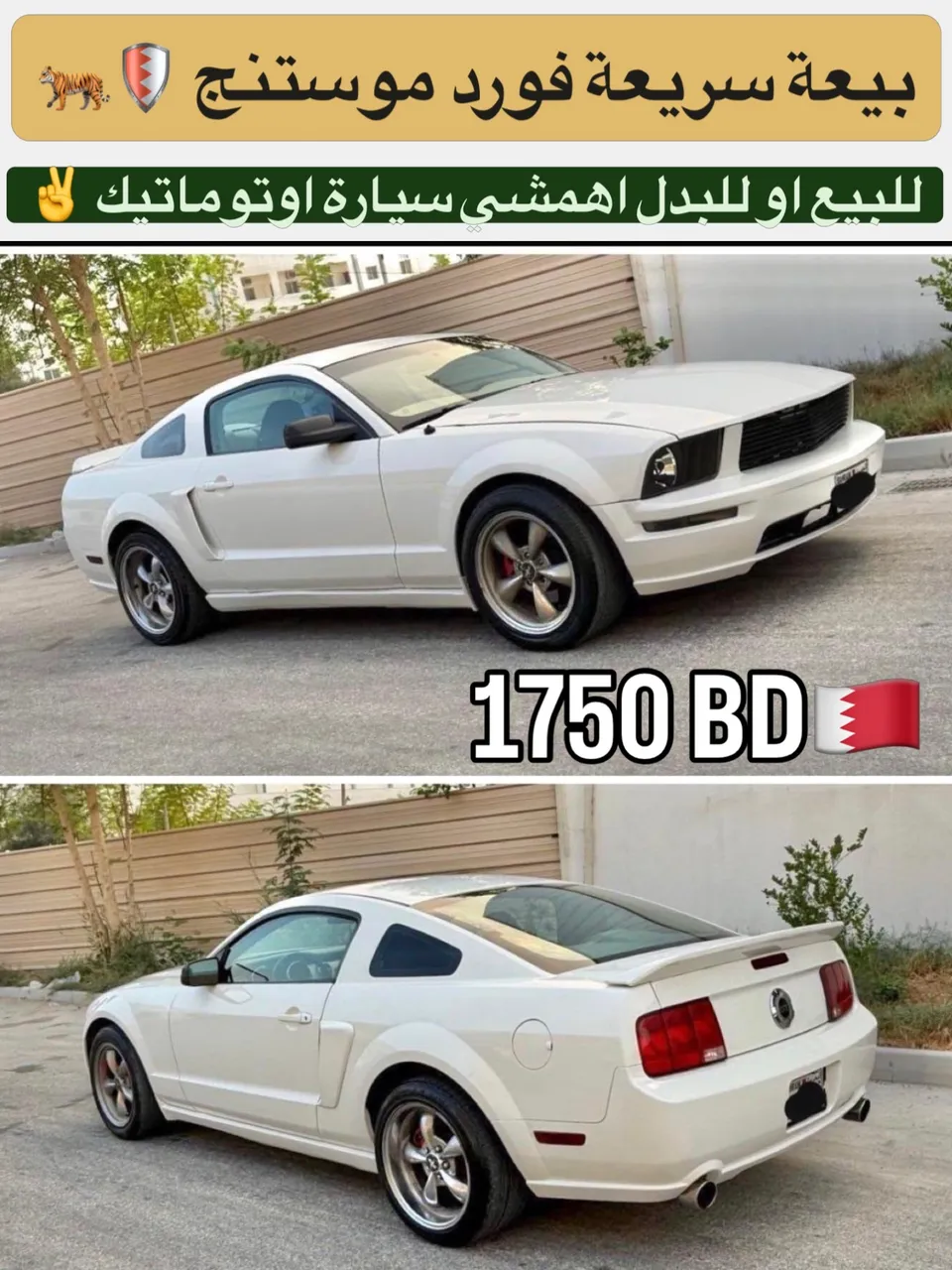 2007 Ford Mustang V8