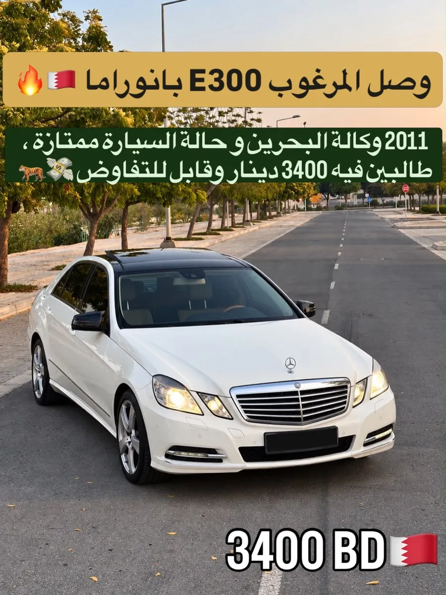2011 Mercedes Benz E-Class E 300