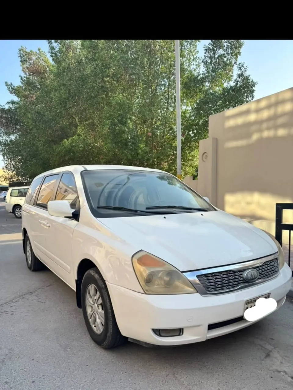 2013 Kia Carnival