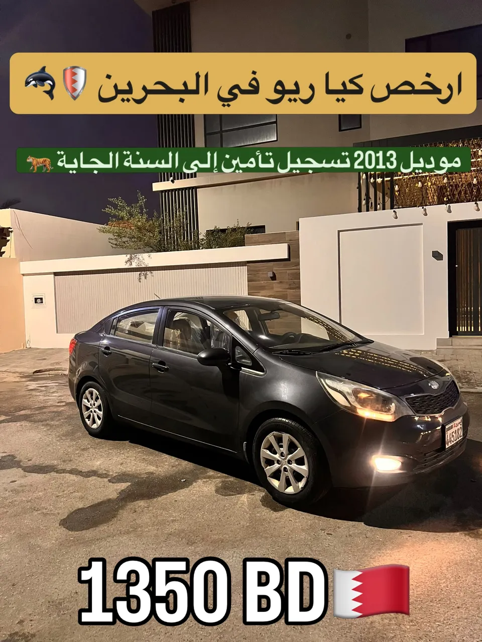 2013 Kia Rio