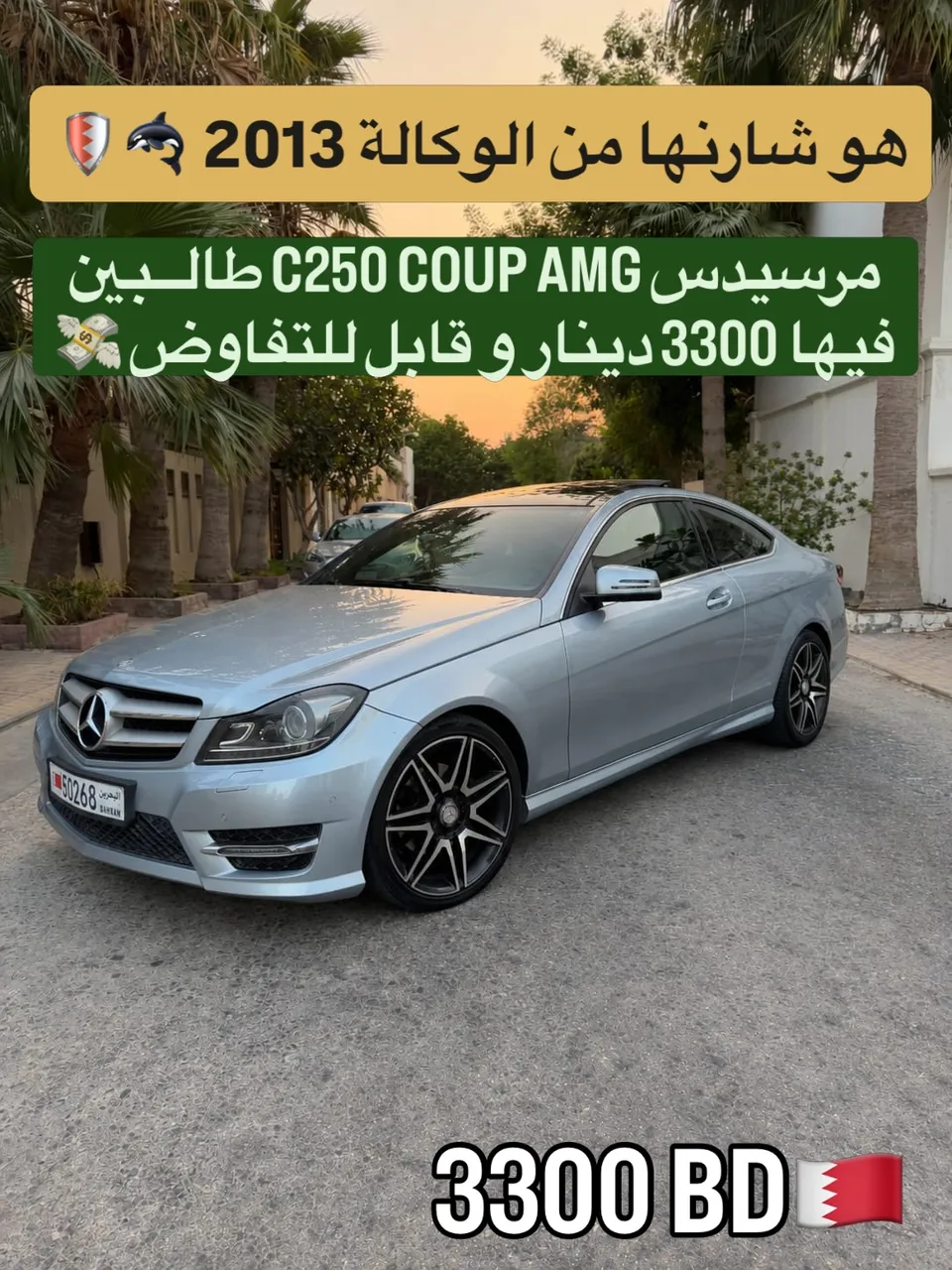 2013 Mercedes Benz C-Class C 250