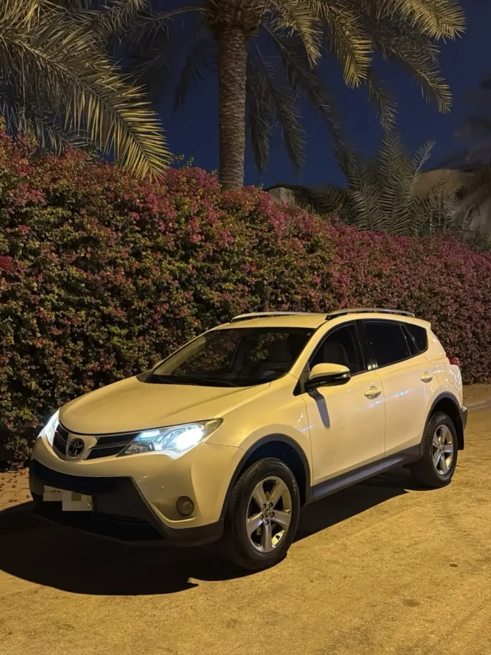 2015 Toyota RAV 4