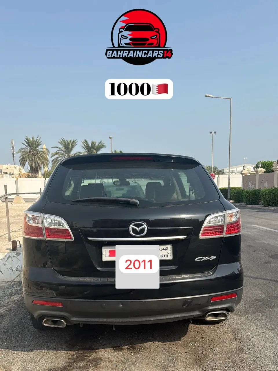 2011 Mazda CX-9