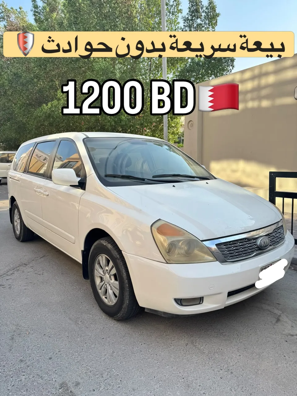 2013 Kia Carnival