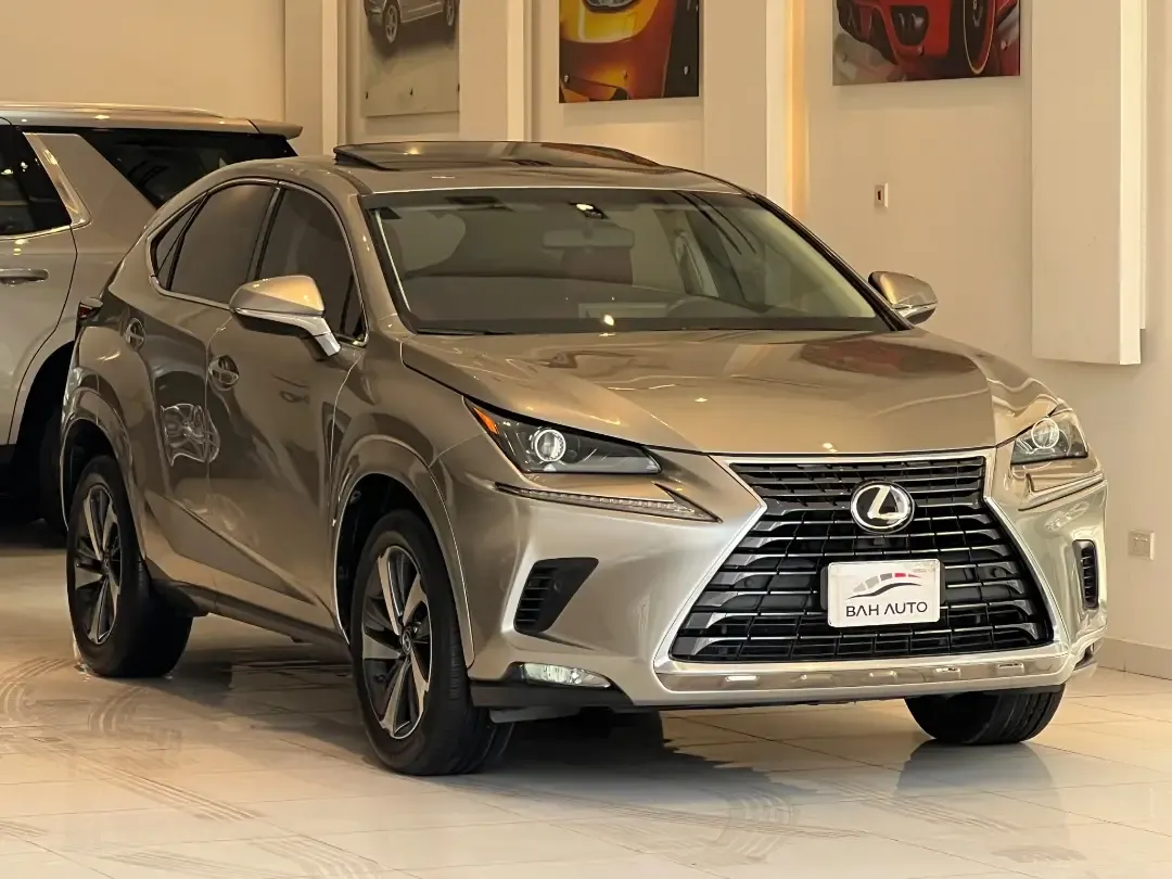 2019 Lexus NX 300