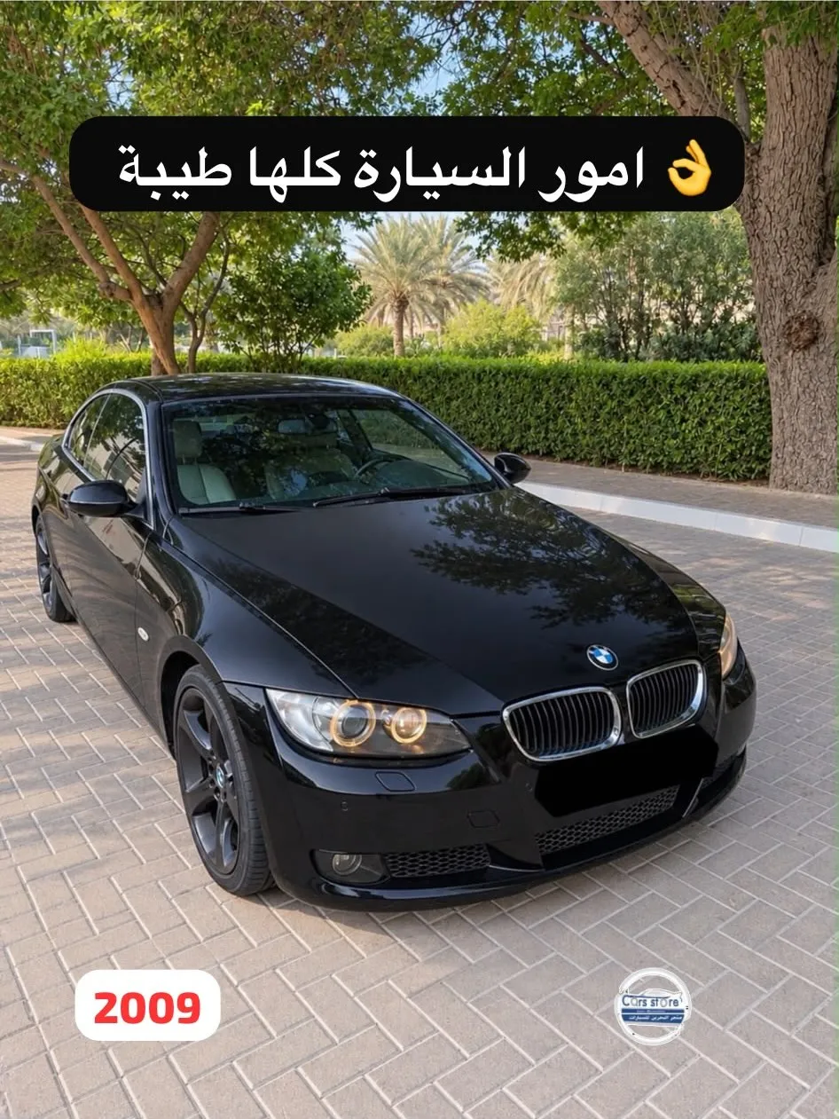 2009 BMW 3 Series 335